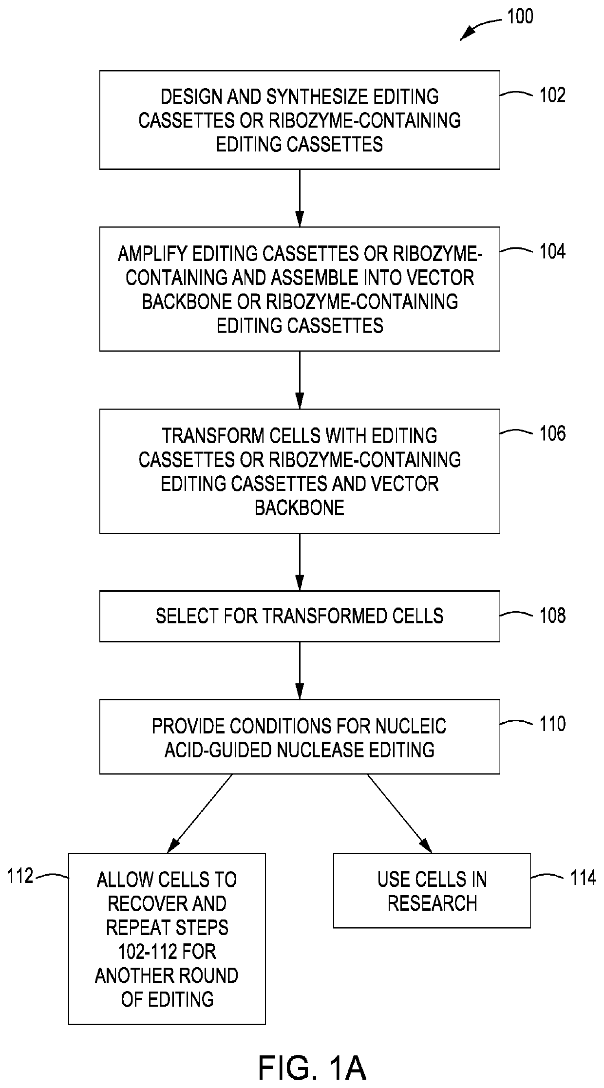 Simultaneous multiplex genome editing in yeast