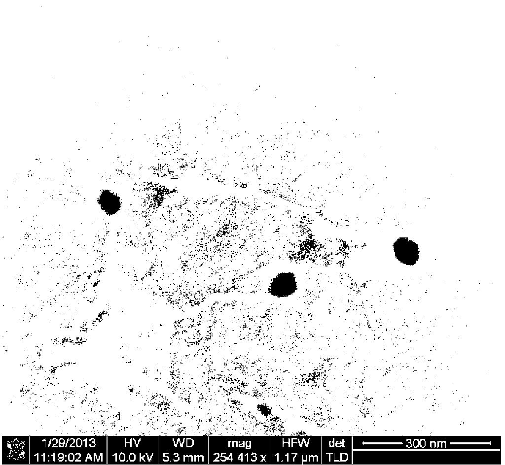 Preparation method of graphite nanometer hole