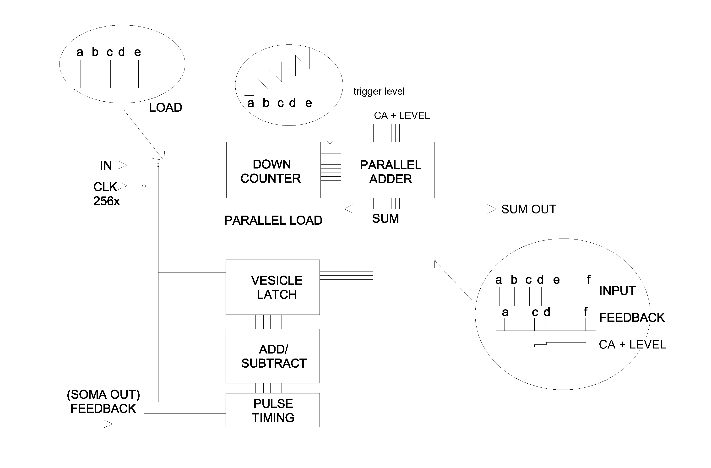 Method and a system for creating dynamic neural function libraries