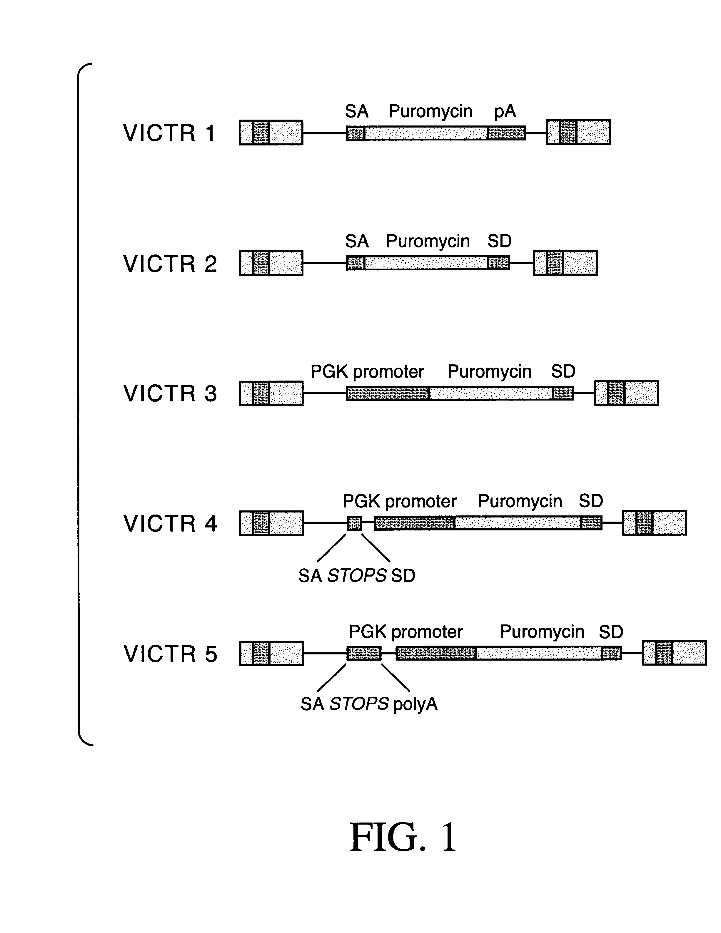 Indexed library of cells containing genomic modifications and methods of making and utilizing the same