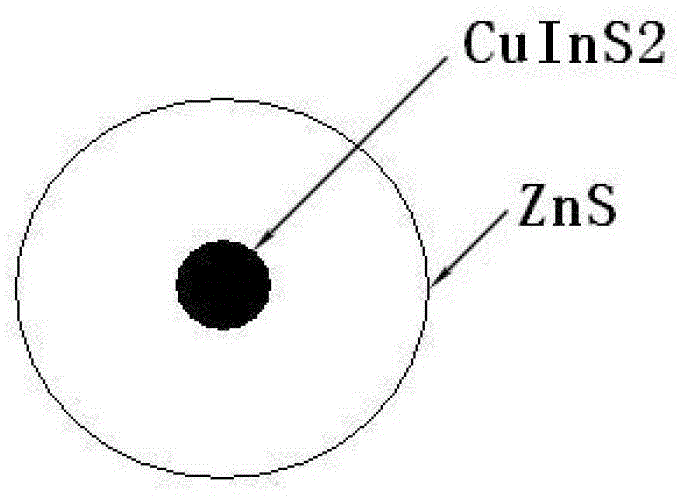 Preparation method of CuInS2/ZnS core-shell structure quantum dot and CuInS2/CdS/ZnS core-shell structure quantum dot