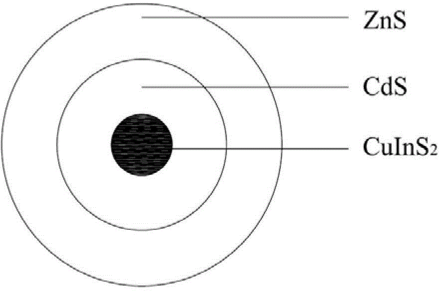 Preparation method of CuInS2/ZnS core-shell structure quantum dot and CuInS2/CdS/ZnS core-shell structure quantum dot