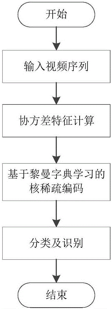 Human body behavior recognition method based on kernel sparse coding