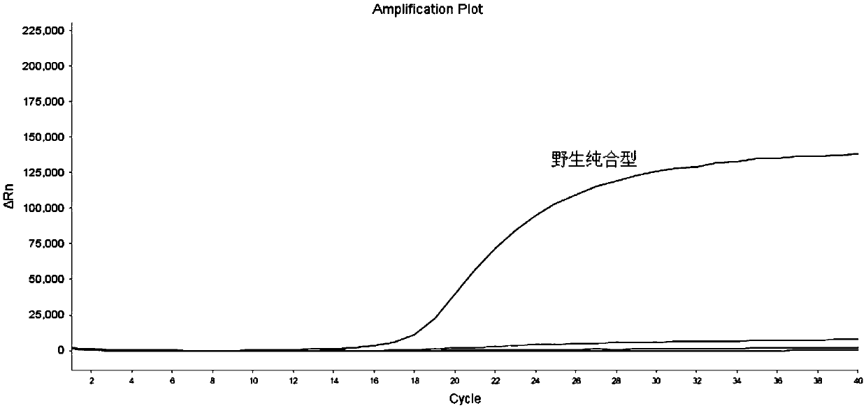 Primers, probes and kit for detecting genes related to metabolic capacity of folic acid