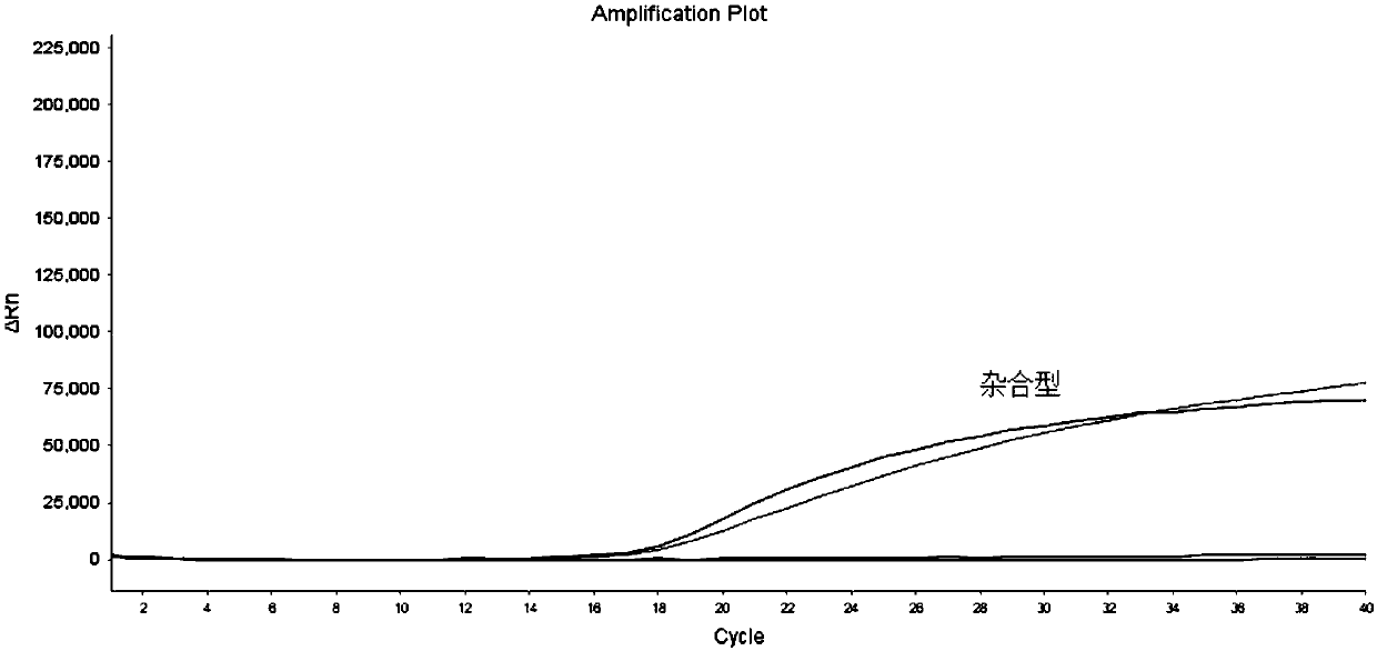 Primers, probes and kit for detecting genes related to metabolic capacity of folic acid