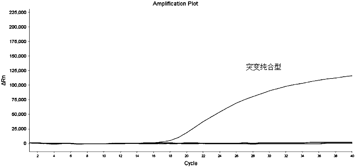 Primers, probes and kit for detecting genes related to metabolic capacity of folic acid