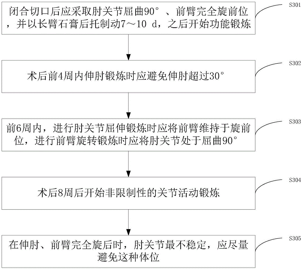 Method for adopting loop steel plate for treating ulna coracoid process fractures