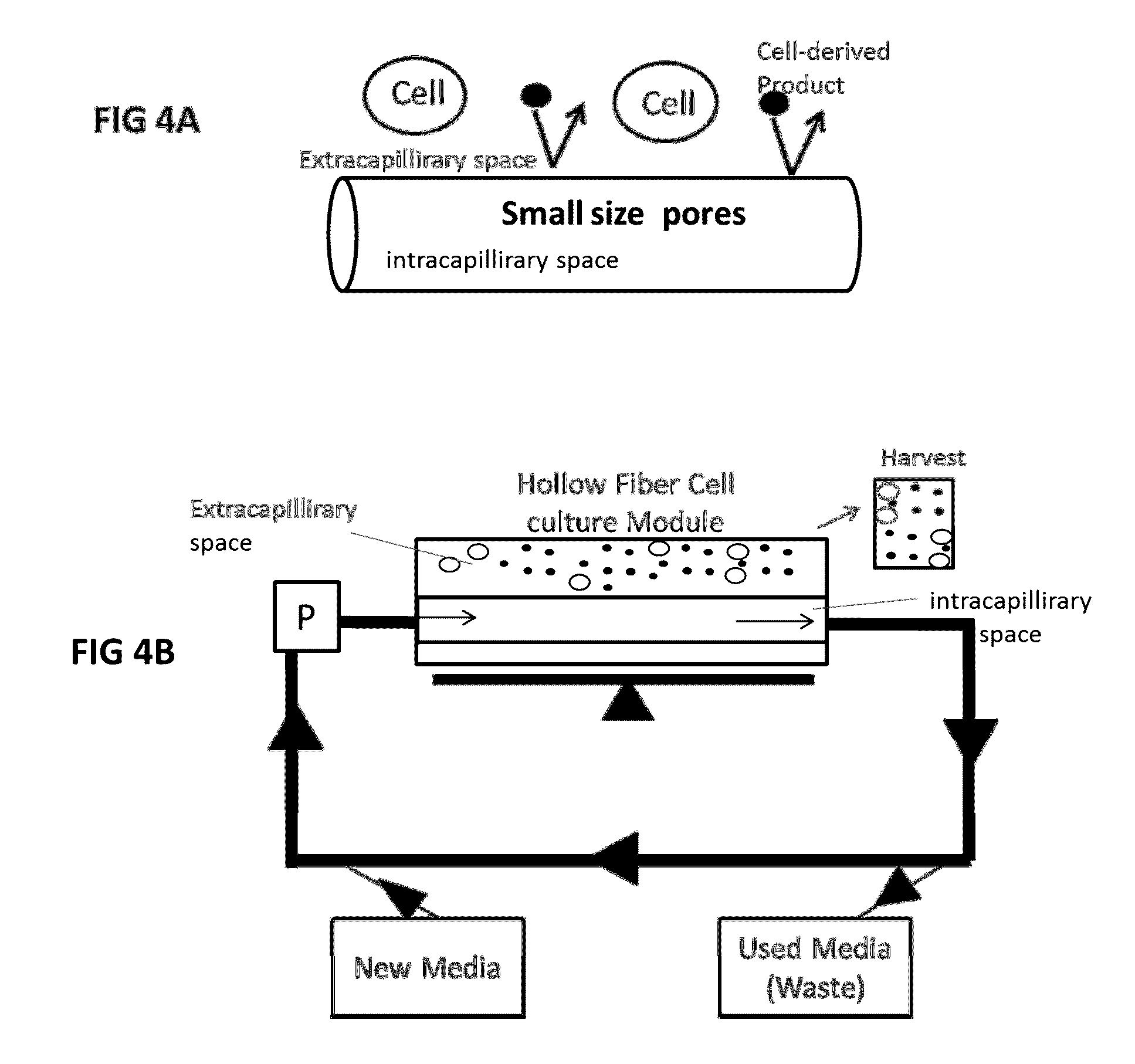 Continuously controlled hollow fiber bioreactor