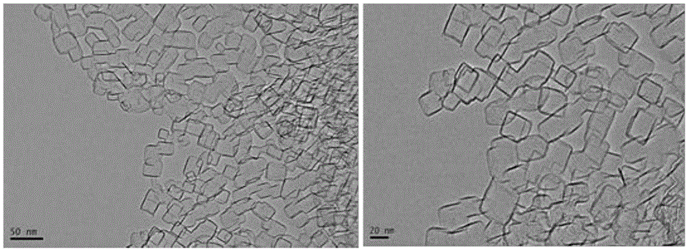 Preparation method of York-shell nitrogen-doped carbon nanocage-coated platinum nanoparticles oxygen-reduction electrocatalyst with high methanol tolerance