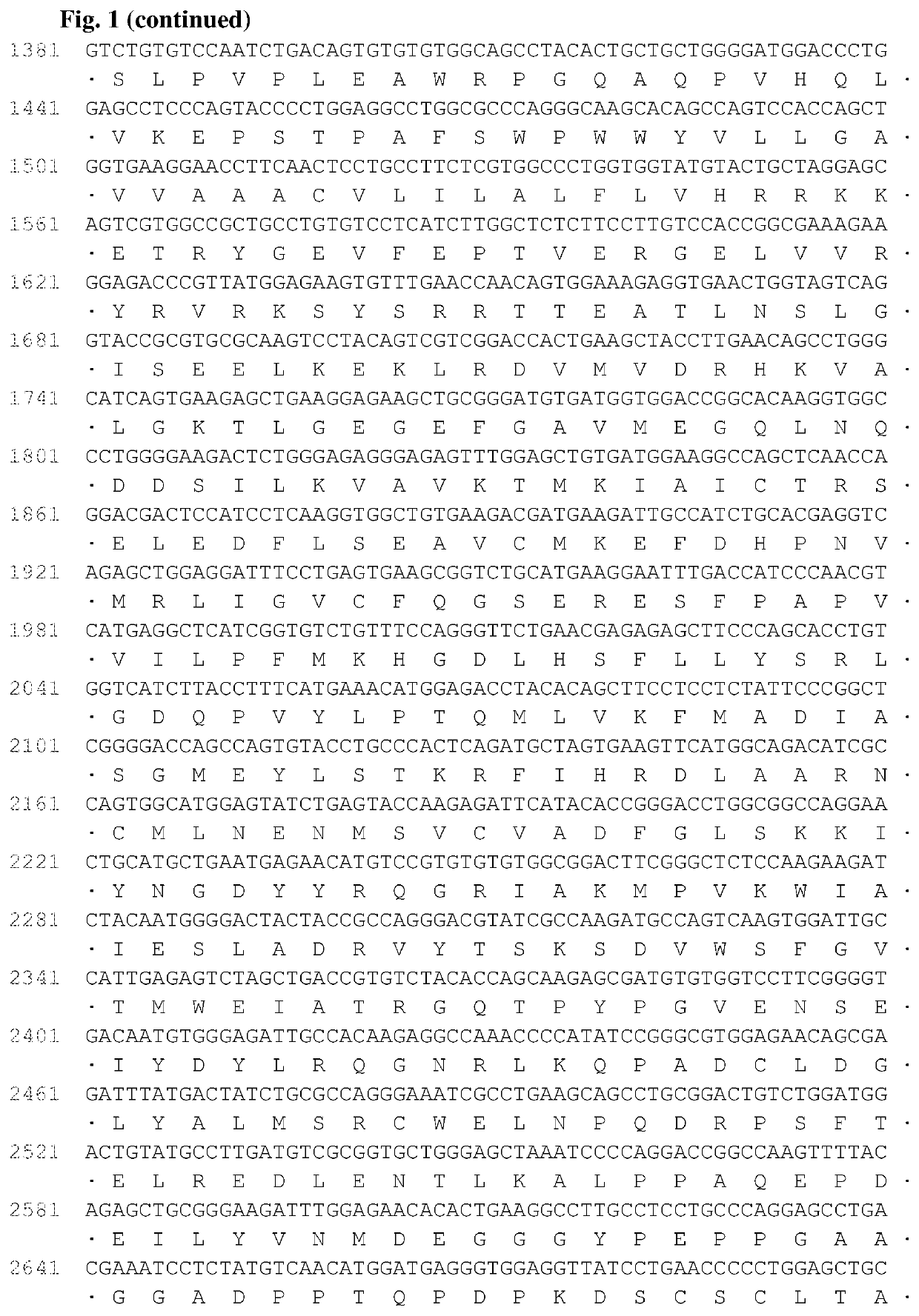 Antibodies that bind to AXL proteins