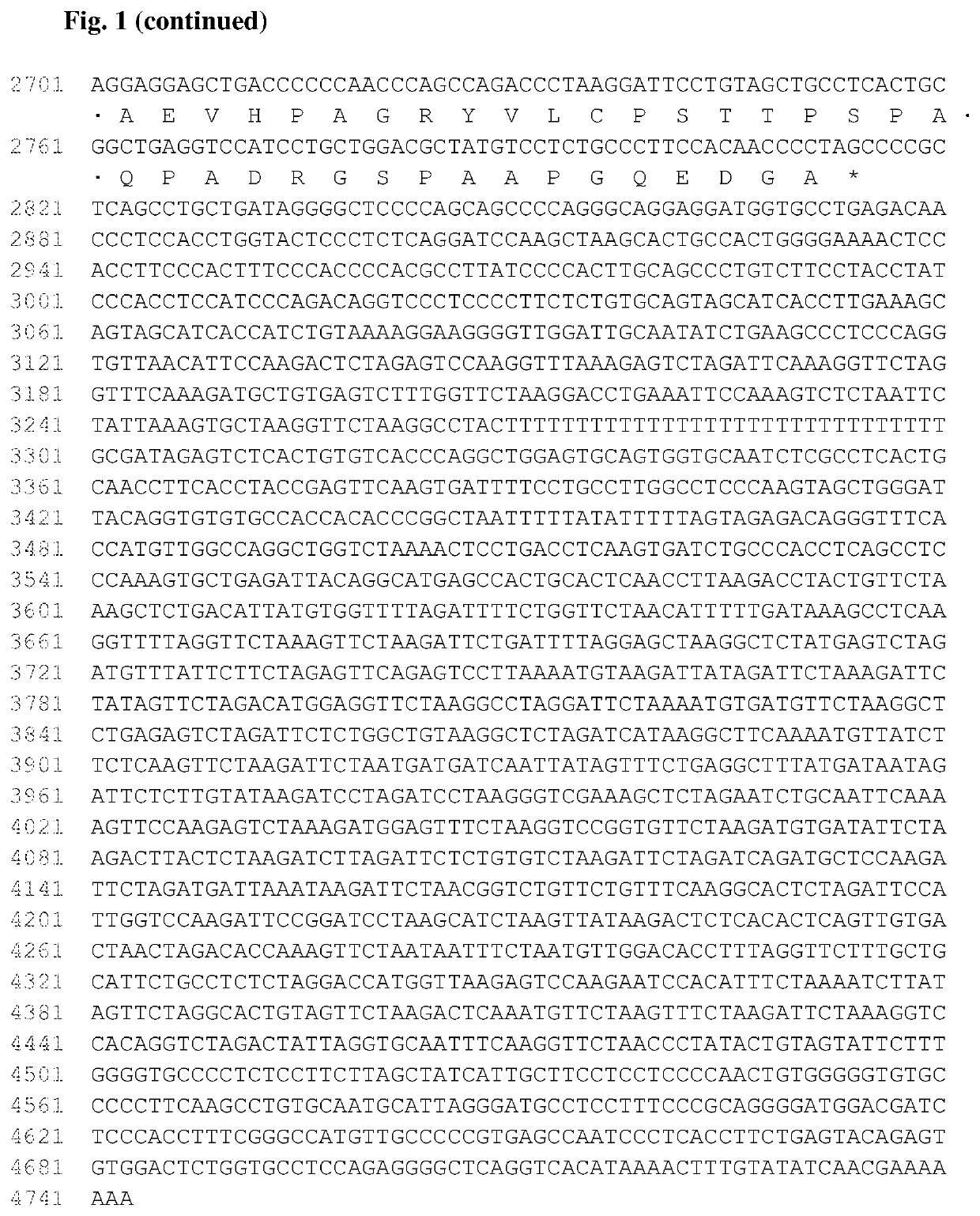 Antibodies that bind to AXL proteins