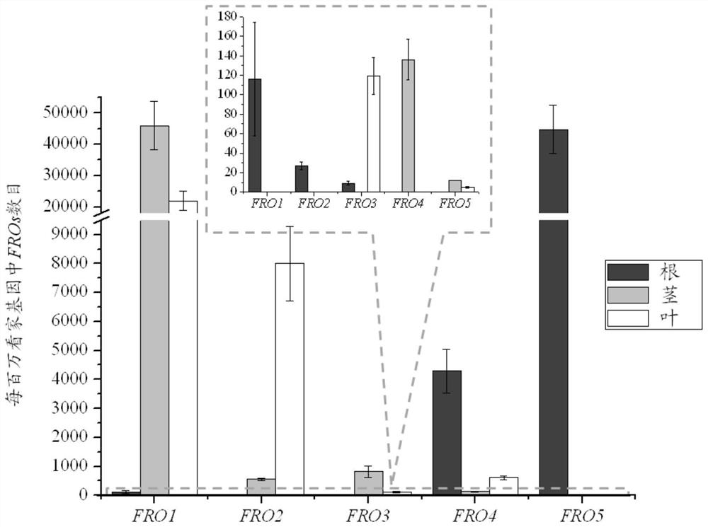 Method for detecting citrus iron chelate reductase family gene