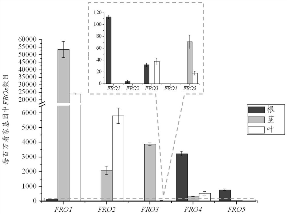 Method for detecting citrus iron chelate reductase family gene