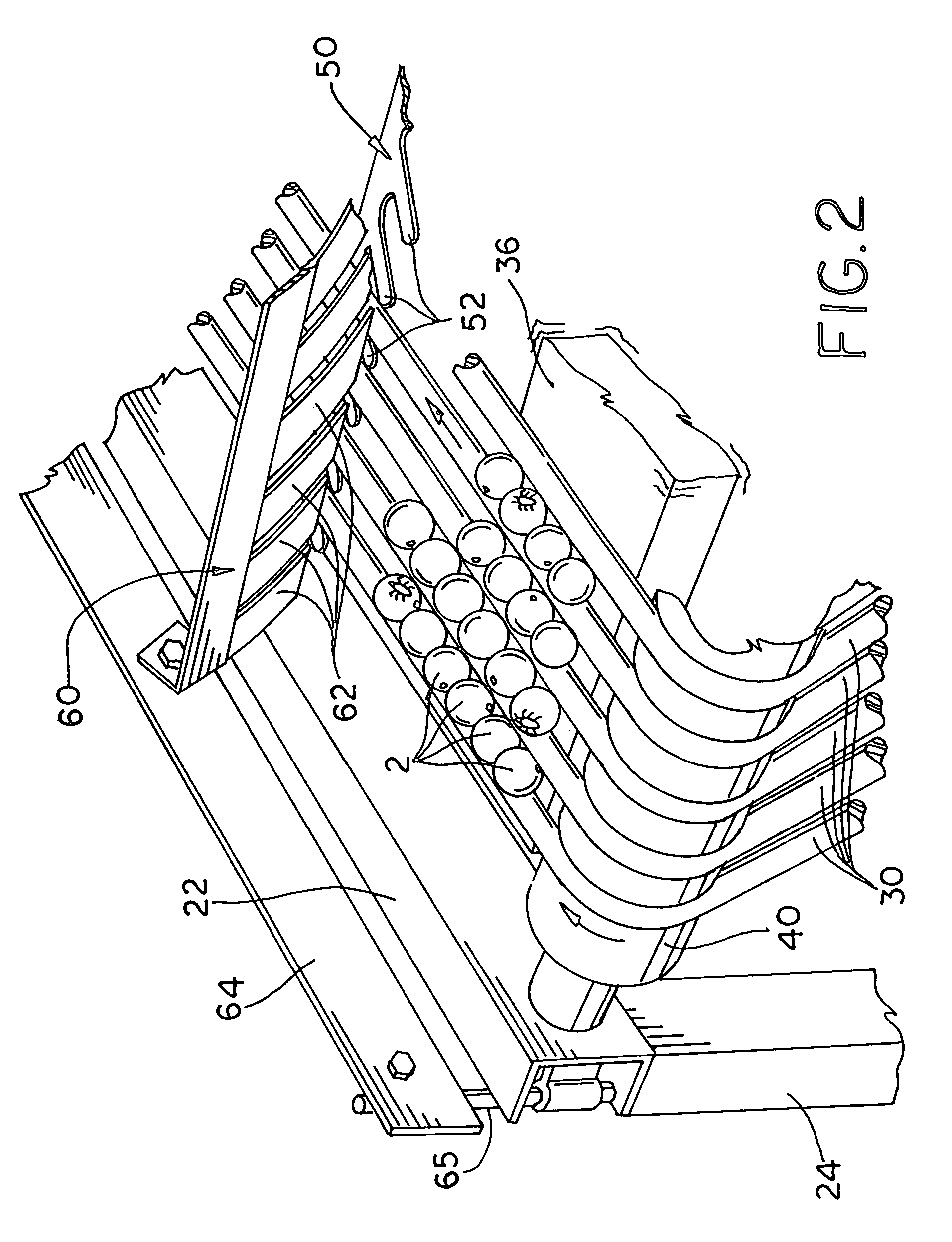 Apparatus for removing insects from produce