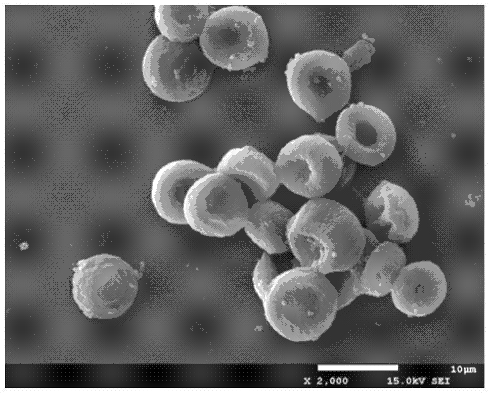 Chitosan microparticles with shape and size of red blood cells and preparation method thereof