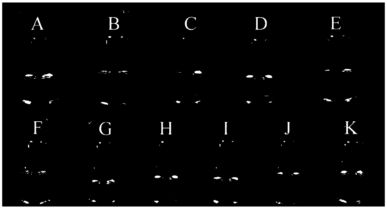 Pure oil lipstick product with repairing function and preparation method thereof