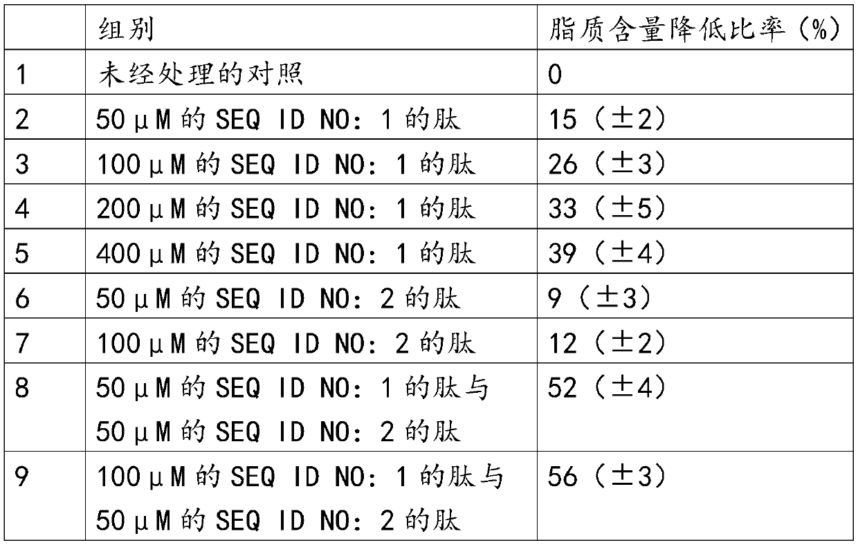 Peptide regulating sebum secretion and cosmetics containing same