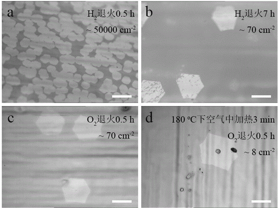 Method for reducing nucleus density in procedures for synthesizing single-crystal graphene by aid of chemical vapor deposition processes