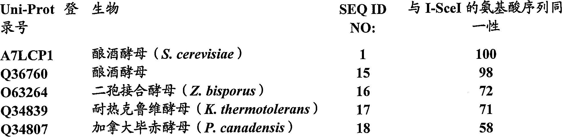 Optimized endonucleases and uses thereof