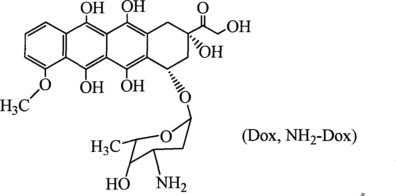 High molecule bonding adriamycin medicine, nano capsule and preparation thereof