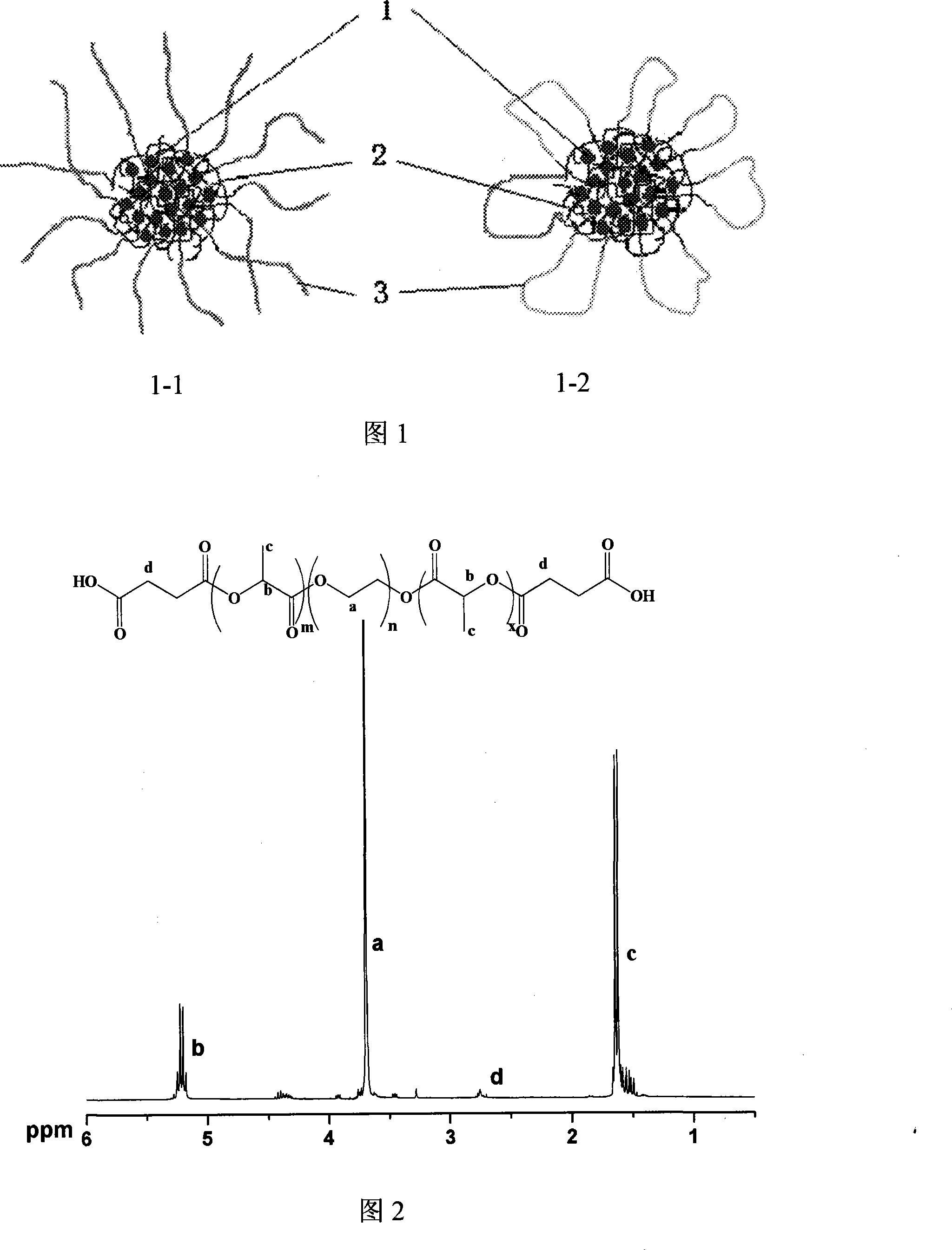 High molecule bonding adriamycin medicine, nano capsule and preparation thereof