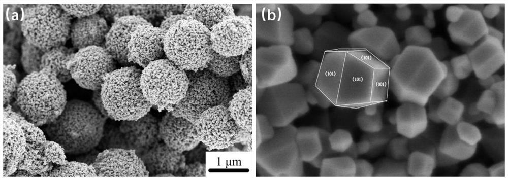 A kind of titanium dioxide mesoporous microsphere with high-energy crystal surface exposure and preparation method thereof