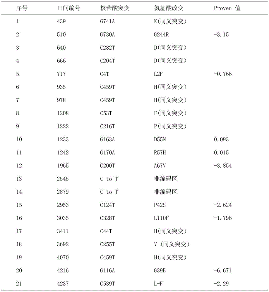 Mutant flue-cured tobacco CYP82E4 gene, and applications thereof