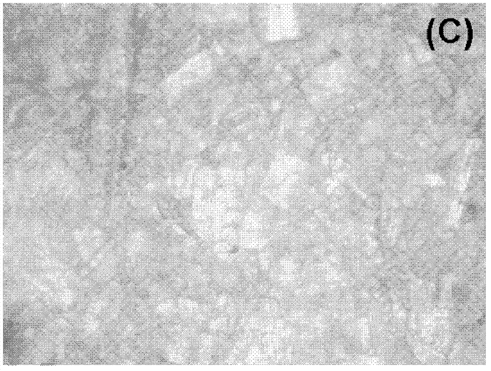 High-pressure formed substrate film assisted laser desorption dissociation mass spectrum quantitative analysis method