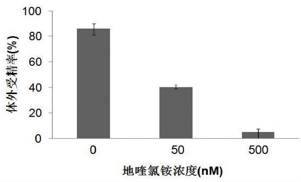 Application of dequalinium chloride as mouse birth control medicine