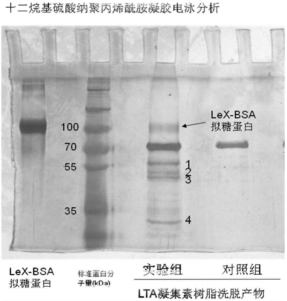 Application of dequalinium chloride as mouse birth control medicine