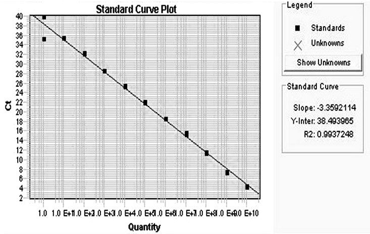 Fluorescent quantitative RT-PCR detection method of M.tuberculosis-complex