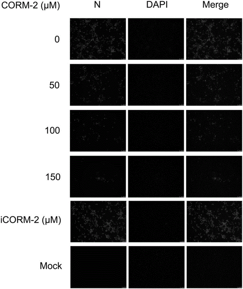 Carbon monoxide release molecule-2 preparation, application of carbon monoxide release molecule-2 preparation in preparing medicines for resisting porcine reproductive and respiratory syndrome viruses and detection method of carbon monoxide release molecule-2 preparation