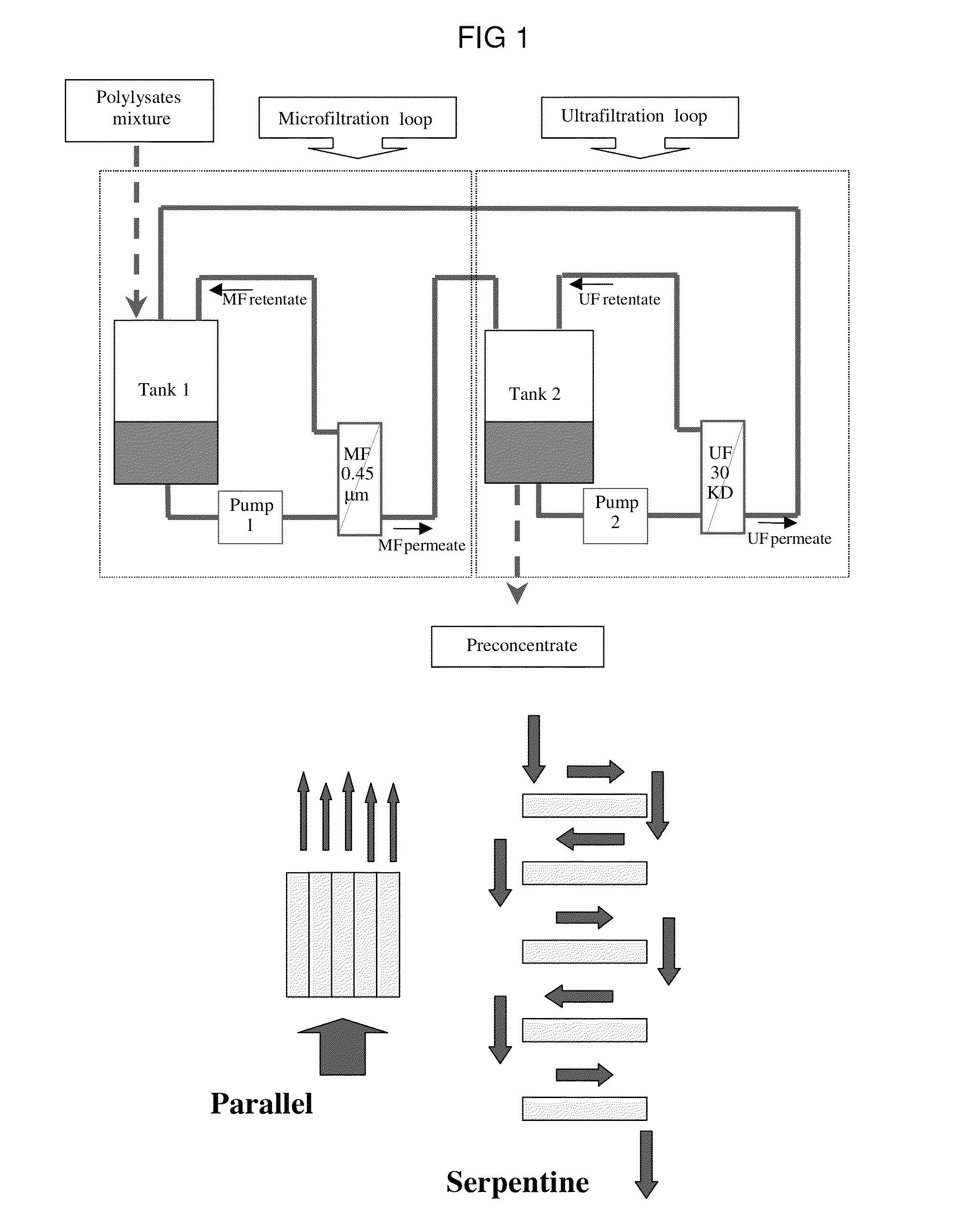 Bacterial extract for respiratory disorders and process for its preparation