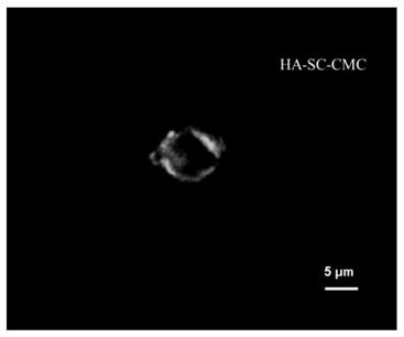 A method for improving the stability of high-calcium milk by optimizing the production process