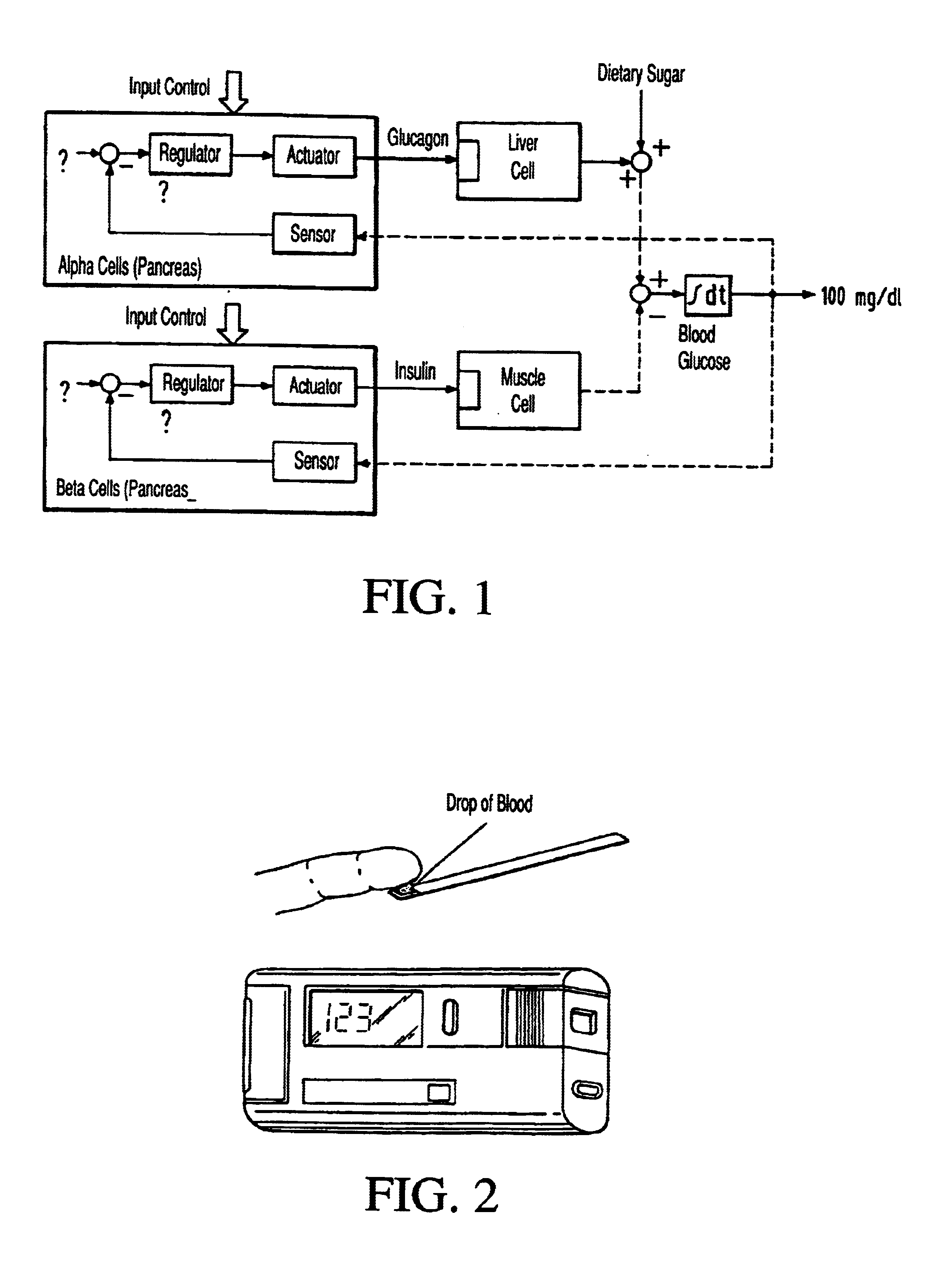 Device for measuring human blood sugar levels