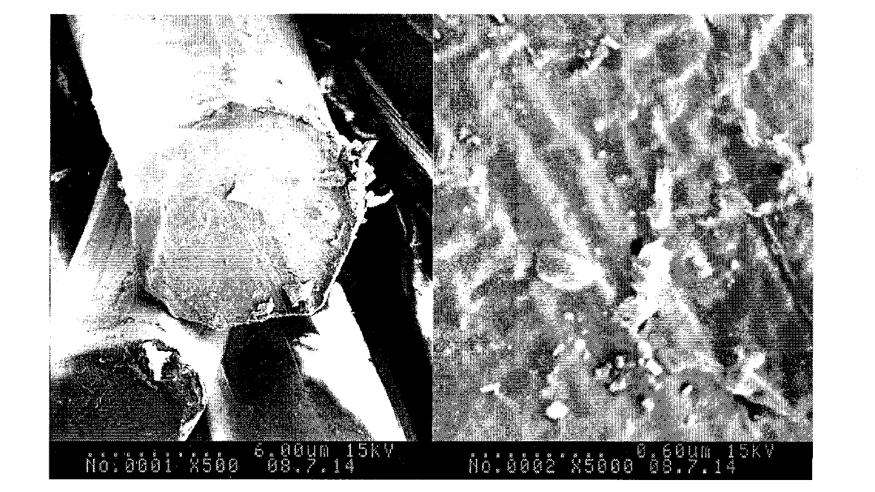 Plasma nano titanic oxide/polypropylene/polylactic acid and preparation method thereof