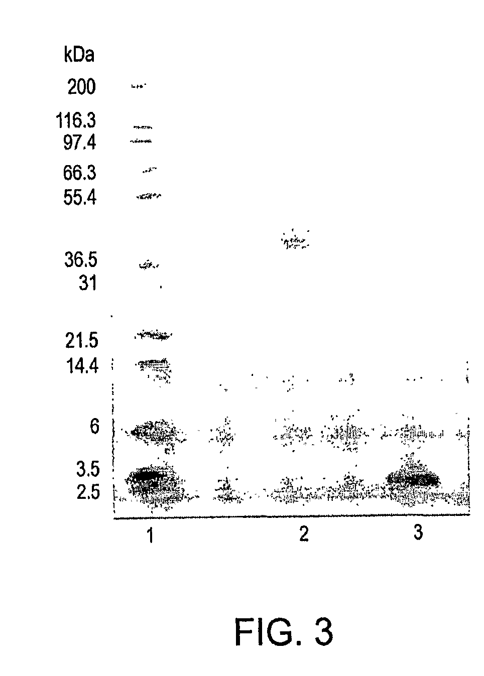 Polymer conjugates of glp-1