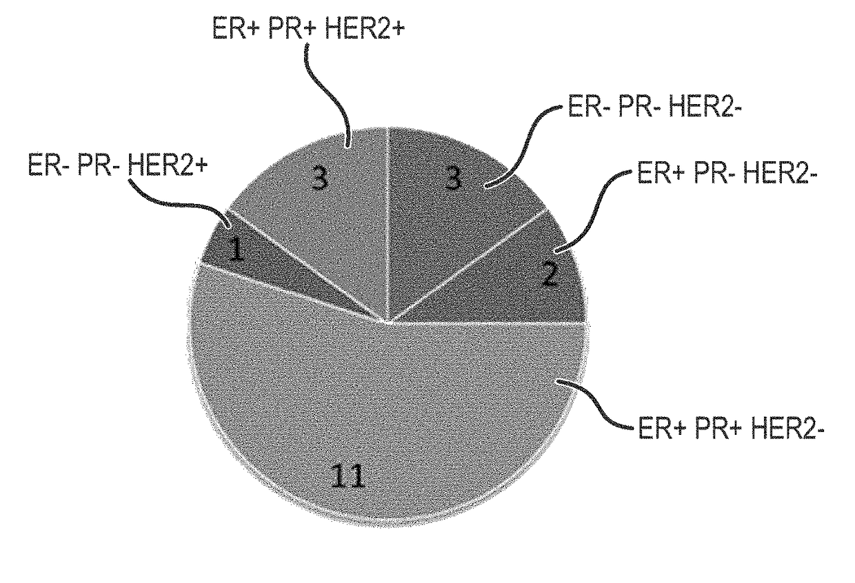 Culture medium for expanding breast epithelial stem cells