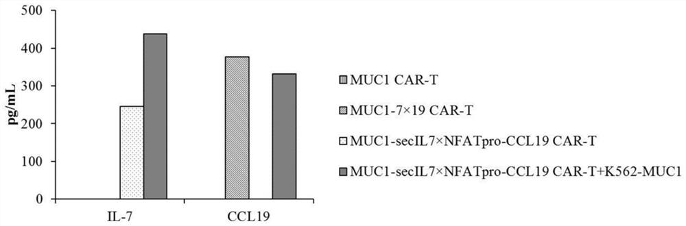 Chimeric antigen receptor T cells and application thereof