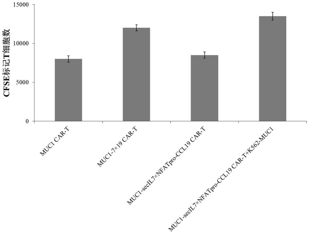 Chimeric antigen receptor T cells and application thereof