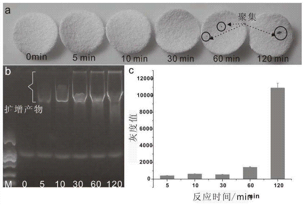 Method for detecting nucleic acid