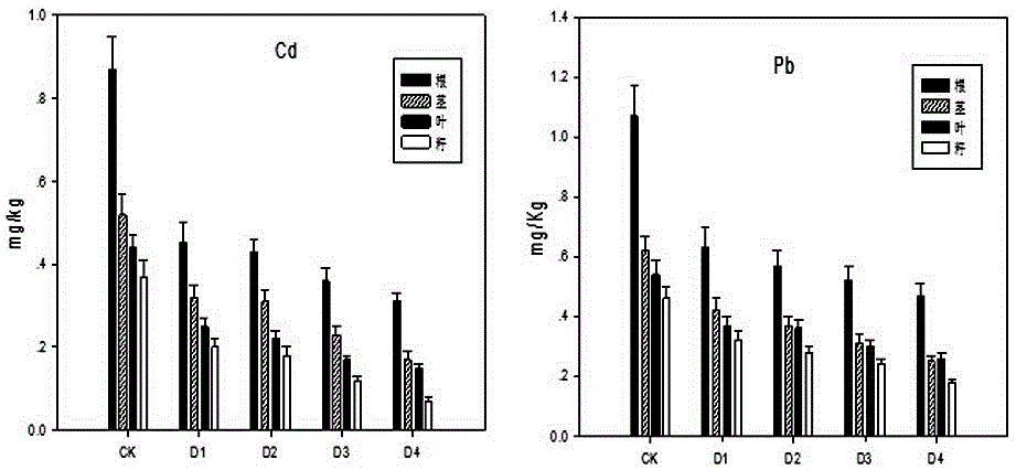 Passivator for treating Cd/Pb-polluted soil and polluted soil in-situ restoration method by using passivator