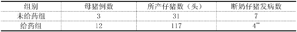 Application of inactivated lactic acid bacteria in medicine for preventing and controlling vertical transmission diseases of sow