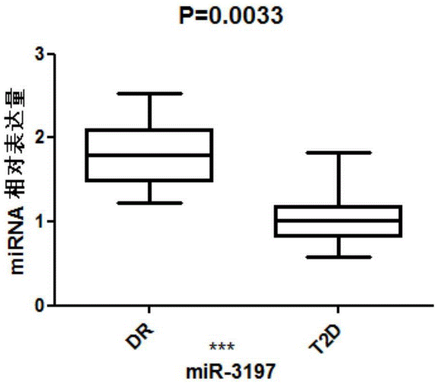 MiR-3197 molecular marker for detecting type 2 diabetic retinopathy and amplification primer and application thereof