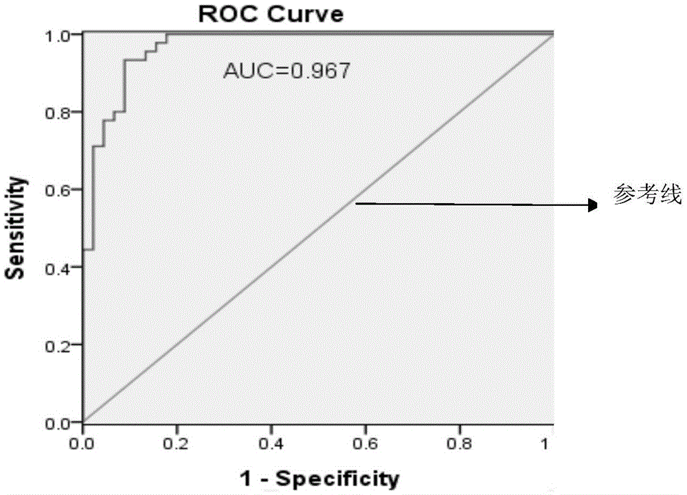 MiR-3197 molecular marker for detecting type 2 diabetic retinopathy and amplification primer and application thereof