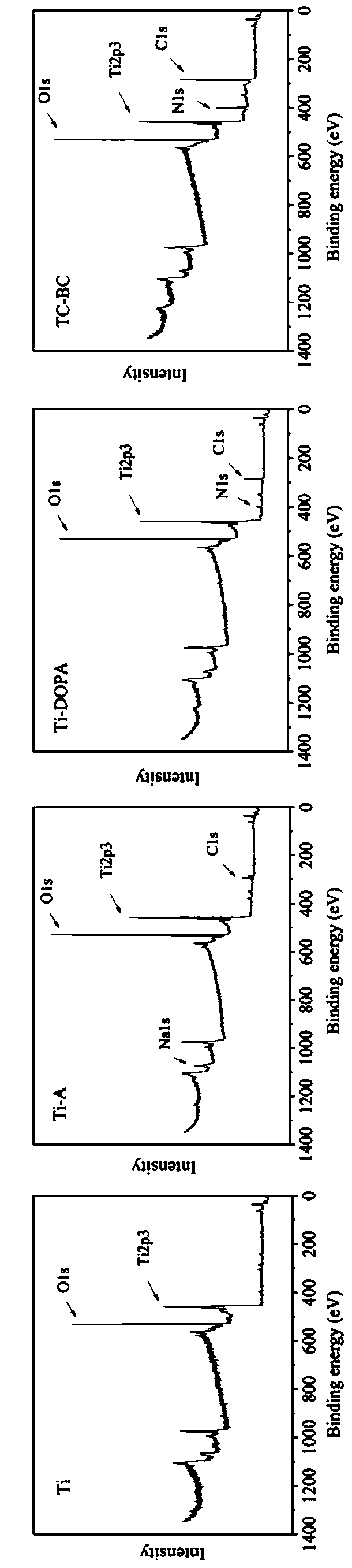 A bacitracin-fixed titanium alloy prosthesis for anti-inflammation, anti-infection and promotion of osteogenic differentiation and bone mineralization and its preparation method