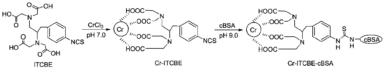 A kind of kit for detecting chromium ion based on direct competitive ELISA and its application