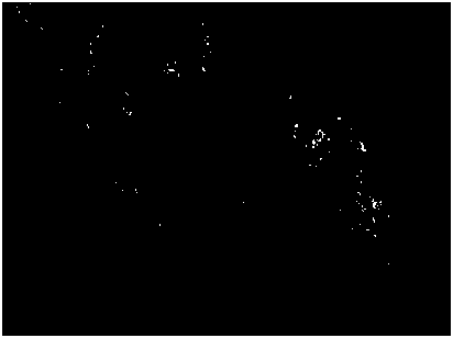 Preparation method of iron-modified TiO2/GO ternary composite material for degradaging VOCs (volatile organic compounds)