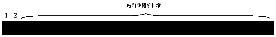 Molecular marker tightly interlocked with muskmelon yellow and green leaf color gene ygl