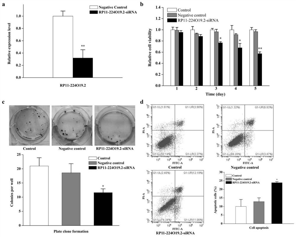 Use of long-chain non-coding rna RP11-224O19.2 inhibitors